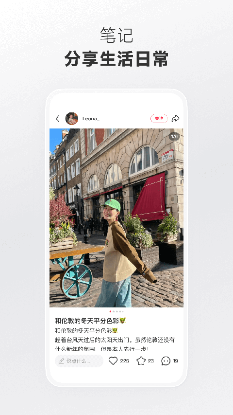 鸸鹋尾羽扫星尘壁纸